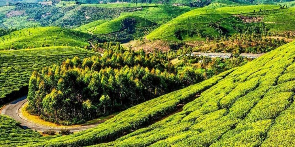 Munnar